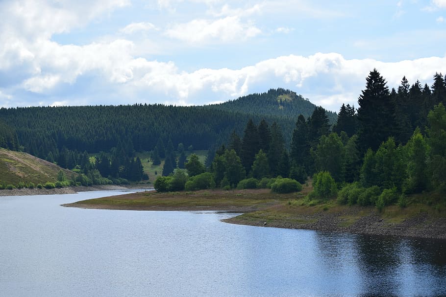 dam, eckertal, nature, forest, mountain, tree, landscape, outdoors HD wallpaper