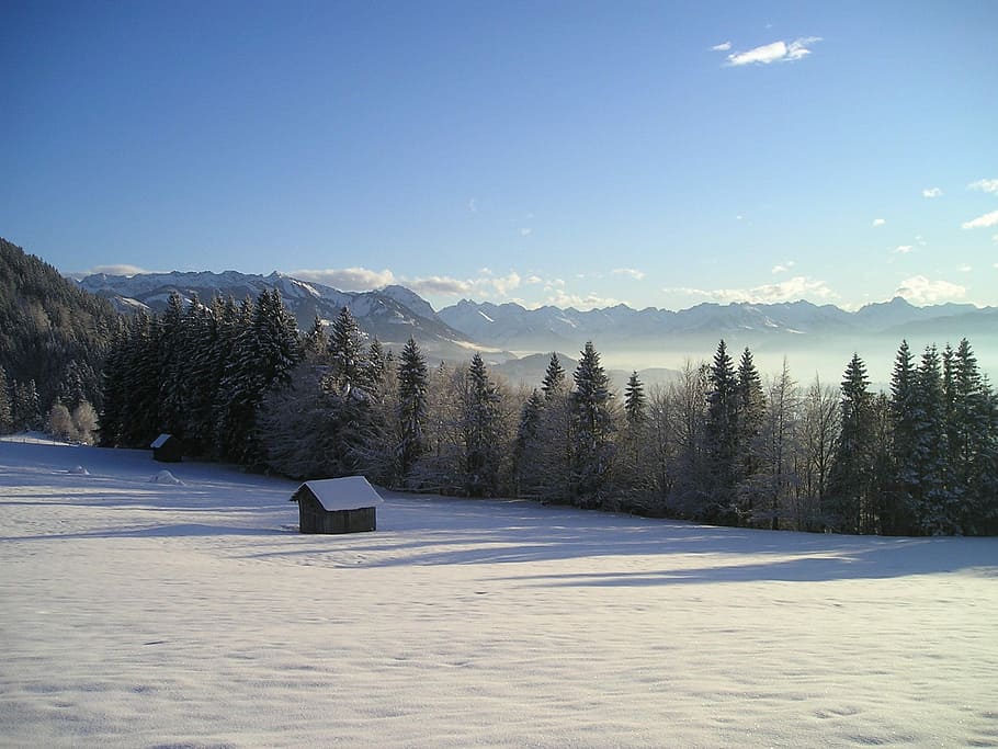 snow-capped house near trees at daytime, Winter, Snow, Mountains HD wallpaper