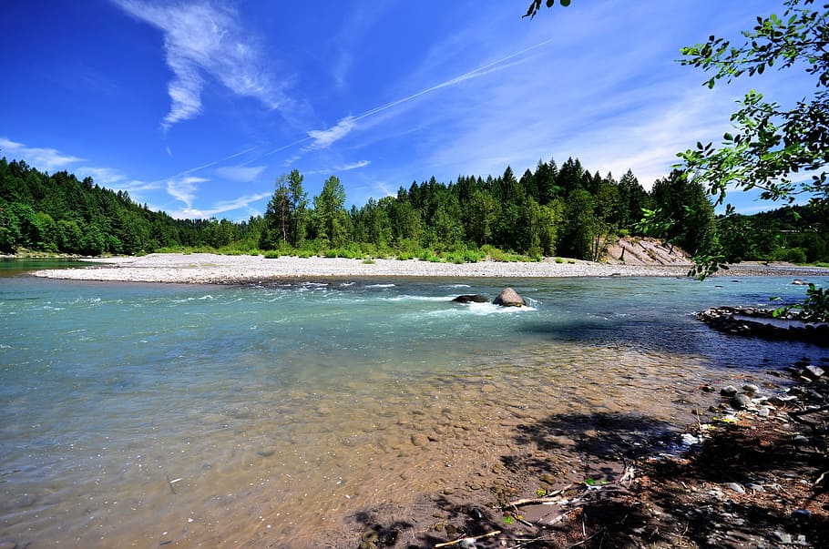 river, water, trees, nature, landscape, summer, stream, outdoor HD wallpaper