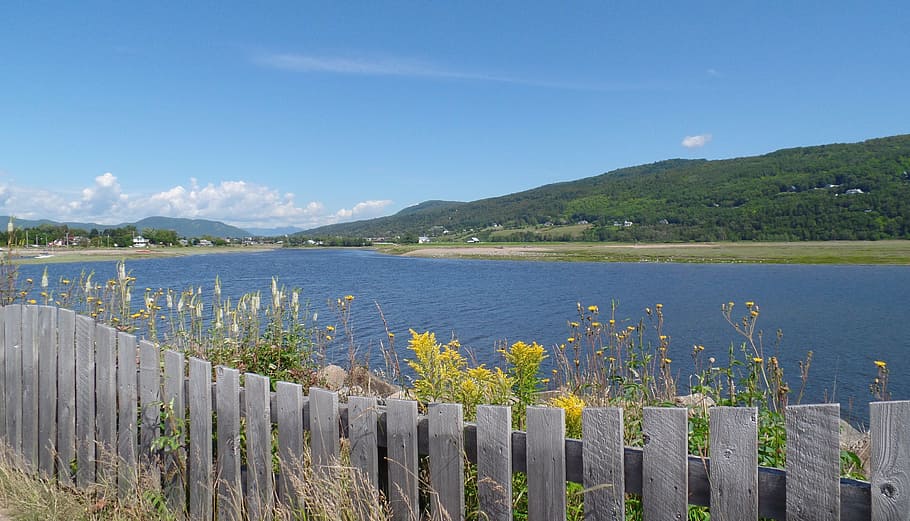 bay, nature, landscape, mountain, water, plant, flower, environment HD wallpaper