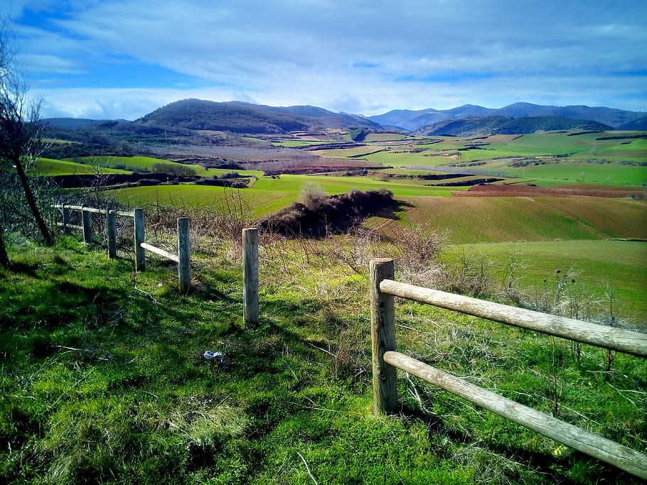 field, fence, fenced, gate, landscape, lookout cárdenas, la rioja, HD wallpaper