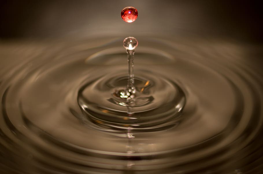 macro photography of droplet, water drop, dropping, splashing HD wallpaper
