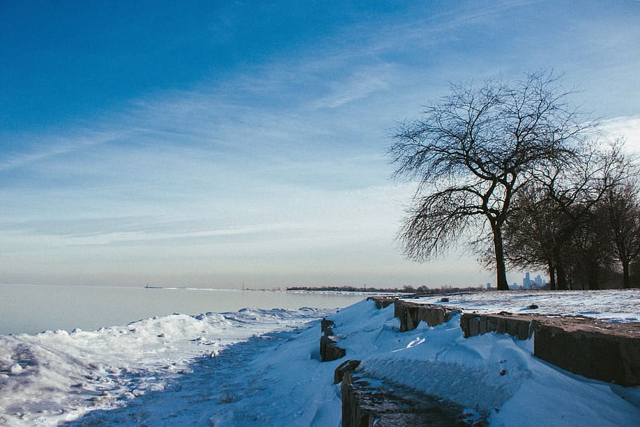tree, plant, nature, blue, sky, cloud, snow, winter, cold, cold temperature HD wallpaper