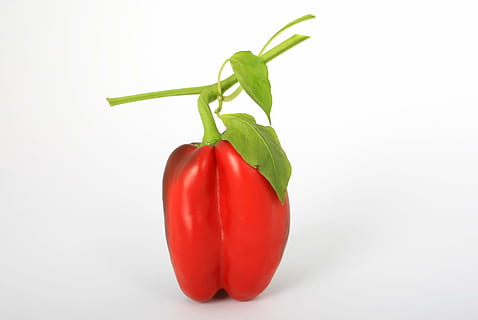 red bell pepper, appetite, calories, closeup, close-up, colorful HD wallpaper
