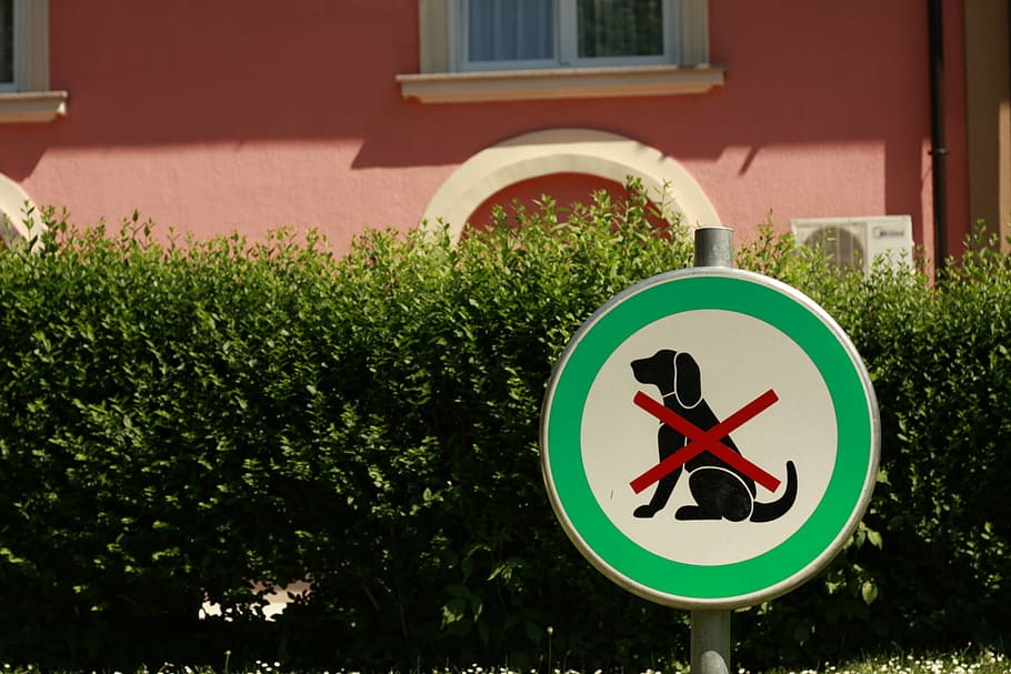 dog, sign, animal, message, icon, safety, identity, architecture HD wallpaper
