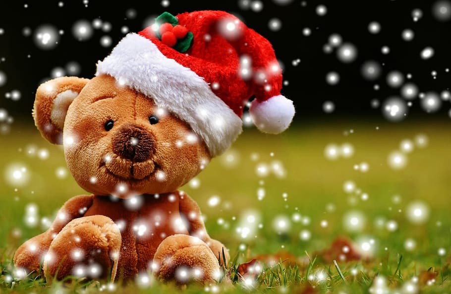 photo of brown teddy bear wearing Santa hat sitting on grass, HD wallpaper