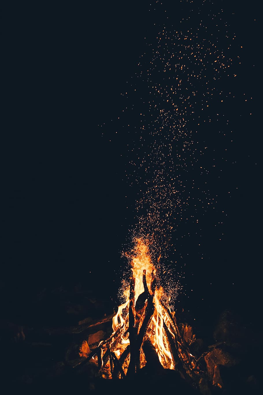 bonfire, bonfire at night, campfire, camp fire, flame, wild, camping