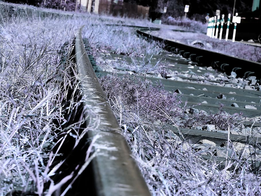 gleise, train, seemed, railway, rail traffic, travel, metal HD wallpaper