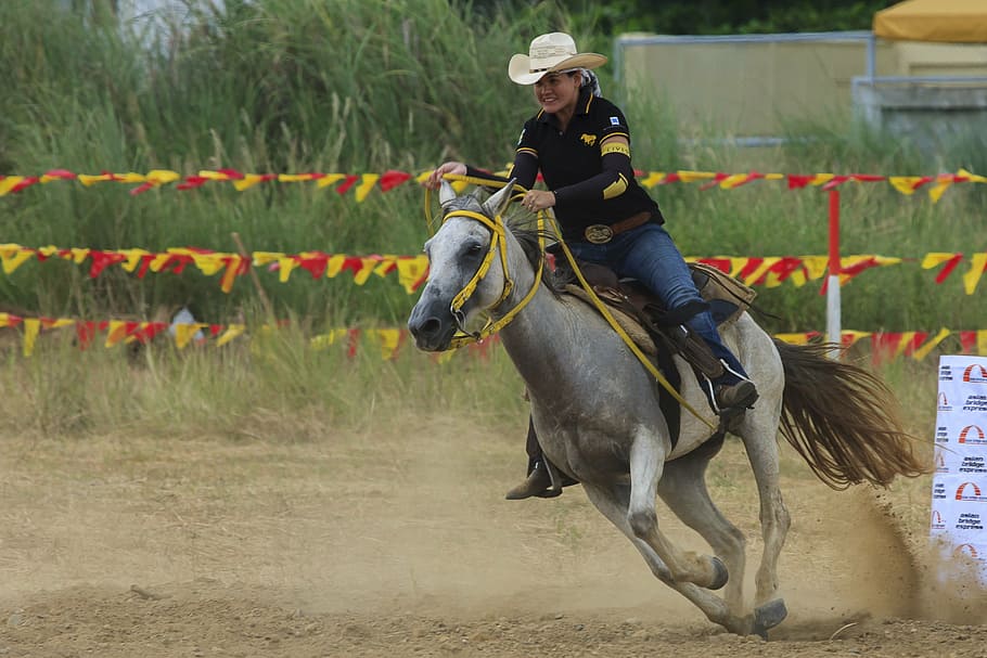 man rides gray horse, rider, sports, animals, horsehead, equestrian, HD wallpaper