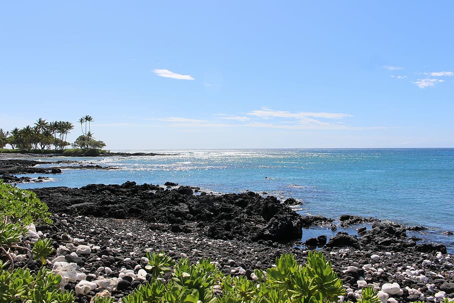 hawaii, beach, ocean, coast, rocky beach, sea, shore, water HD wallpaper