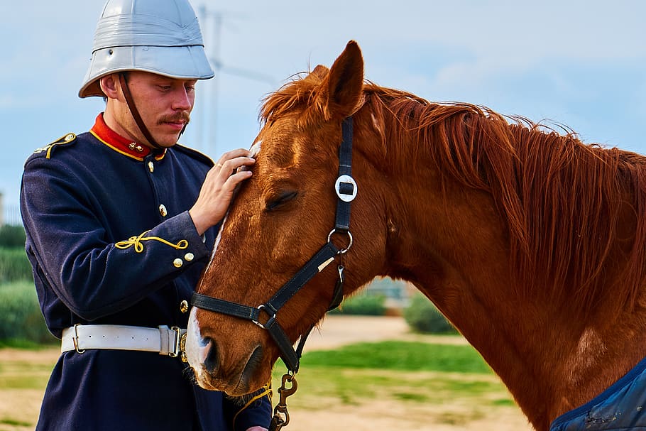 cavalry, military, horse, soldier, united kingdom, malta, fort rinella