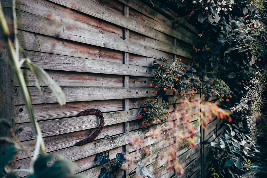 brown wooden wall with assorted plants, assorted potted plant hanged on wall outdoor during daytime HD wallpaper