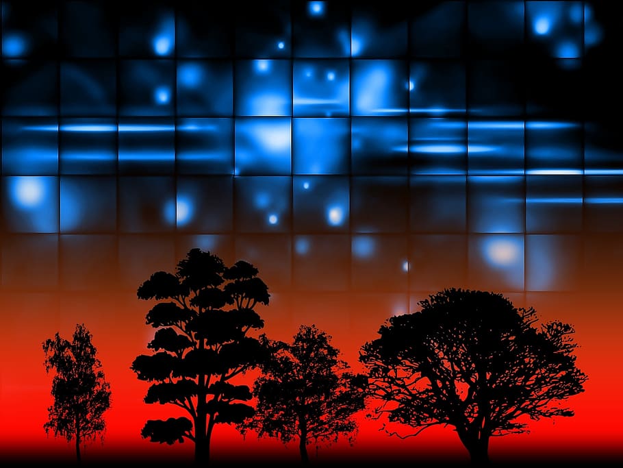 evening, landscape, sky, dusk, sunset, tree, plant, scenics - nature HD wallpaper