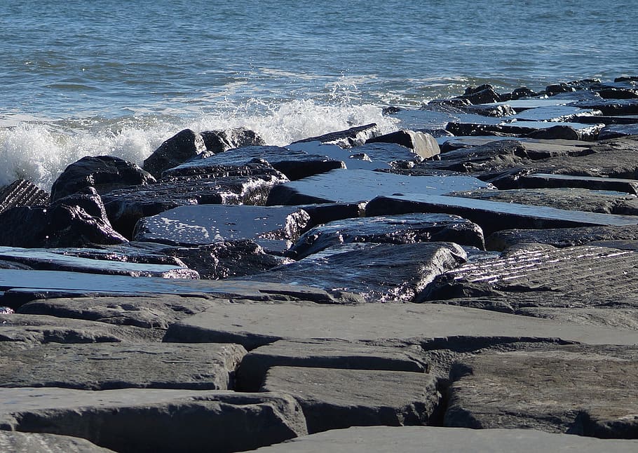beach, shore, rocks, ocean, atlantic city, bird, water, sea HD wallpaper
