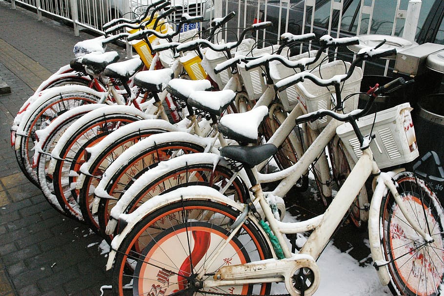 Bikes, Bicycles, Cycle, Sport, Fun, activity, ride, snow, covered HD wallpaper