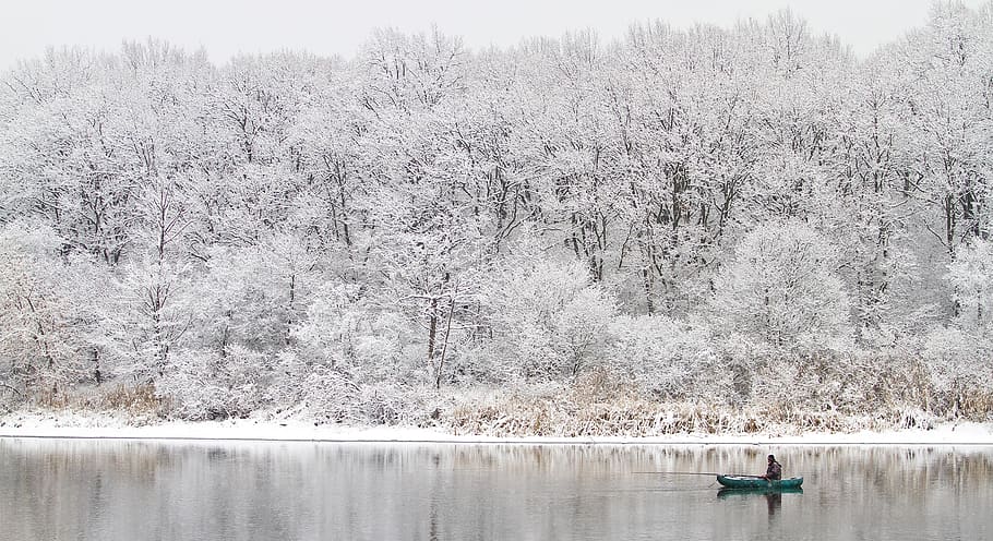 winter, coldly, nature, snow, plant, tree, water, lake, beauty in nature HD wallpaper