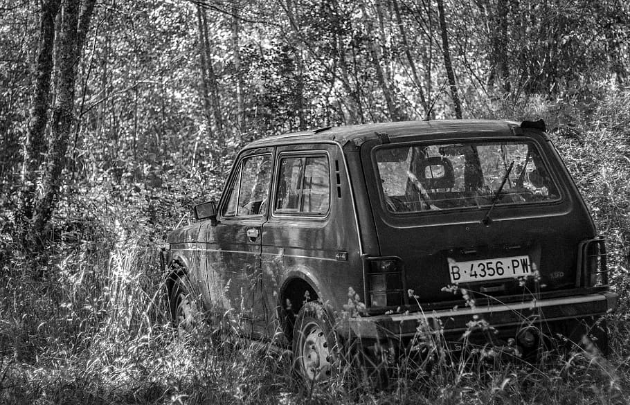 car, abandoned, weed, old, forest, black and white, tree, land HD wallpaper