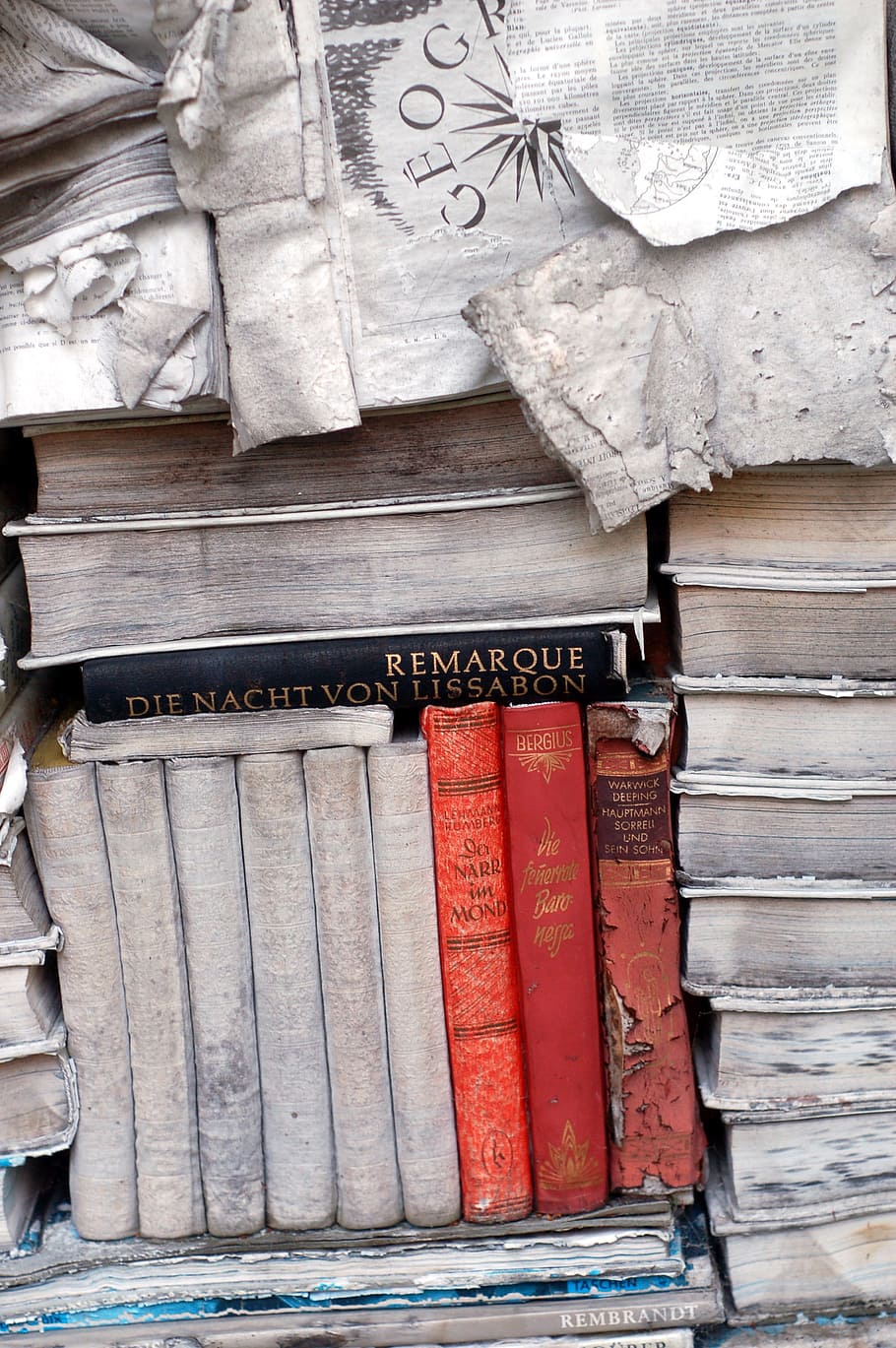 pile of assorted-title of books, old, page, foliage, street HD wallpaper