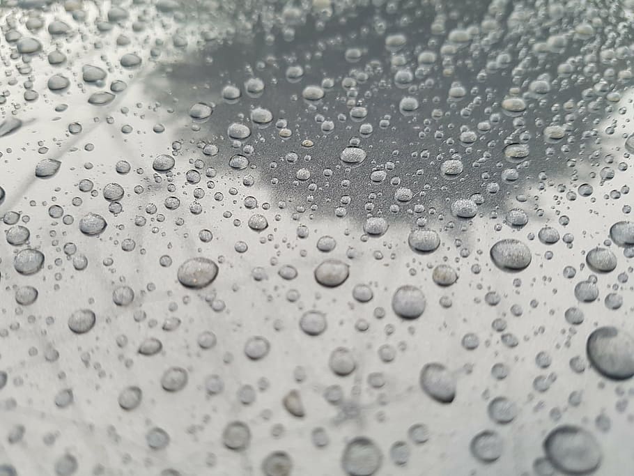 trickle, beading, bubble, buble, waterdrop, wet, rain, backgrounds HD wallpaper