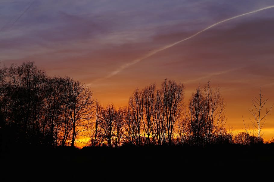 sunset, orang, yellow, red, romantic, feelings, nature, dusk HD wallpaper