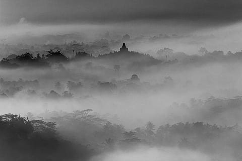 tall trees covered with smoke, black mountain at daytime, Borobudur HD wallpaper