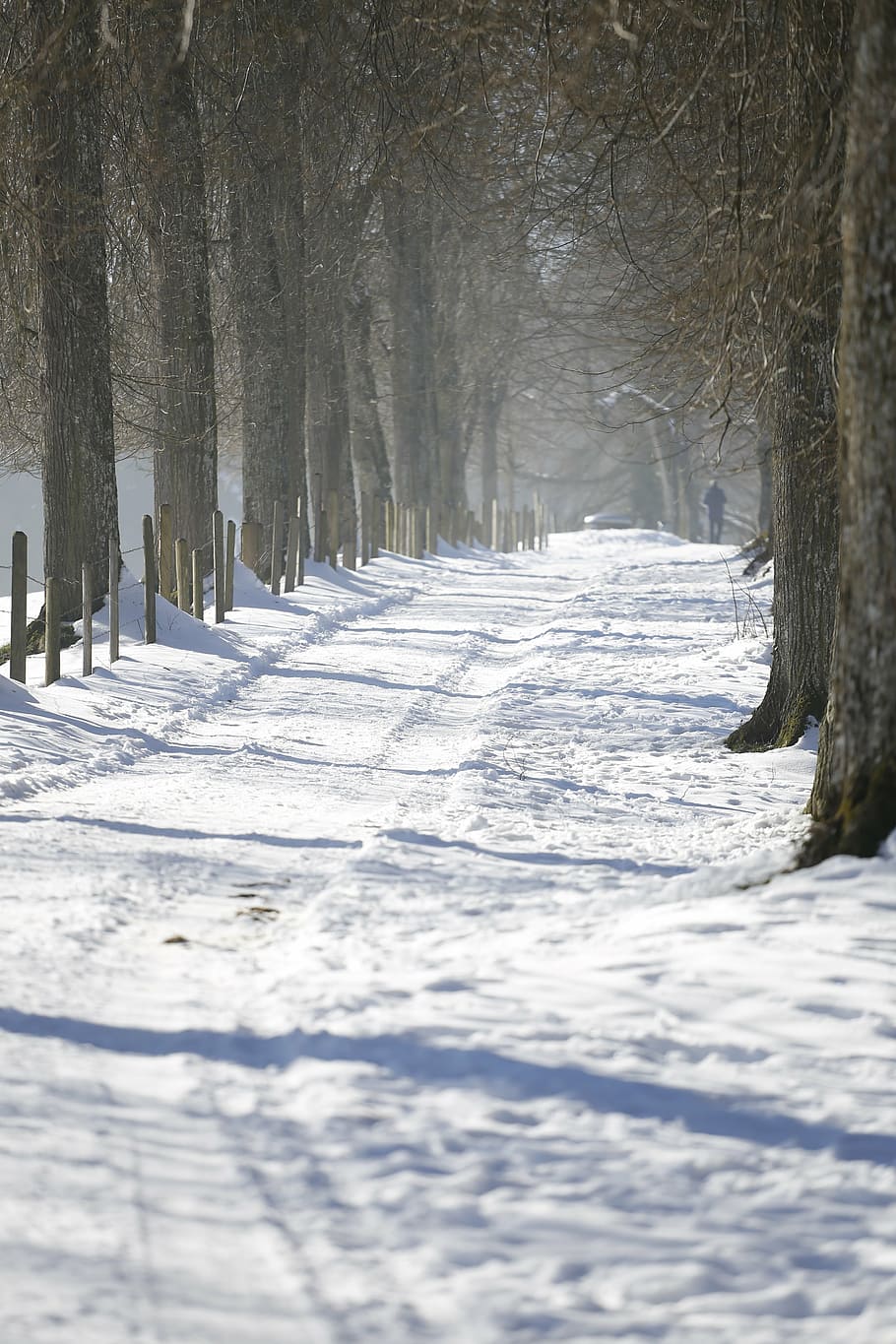 winter, away, cold, white, snow, trees, winter mood, wintry HD wallpaper