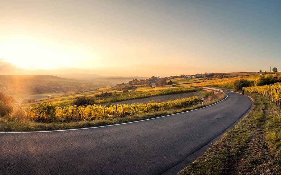 sunrise, sunlight, sunshine, tree, plant, sky, cloud, road HD wallpaper