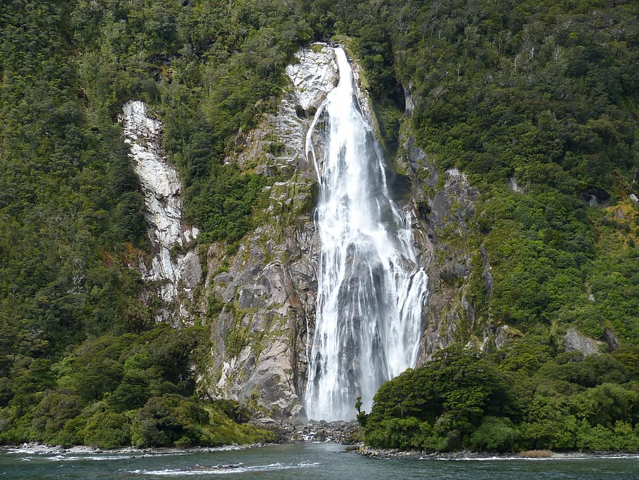 waterfall surrounded by trees, waters, murmur, new zealand, milford sound, HD wallpaper