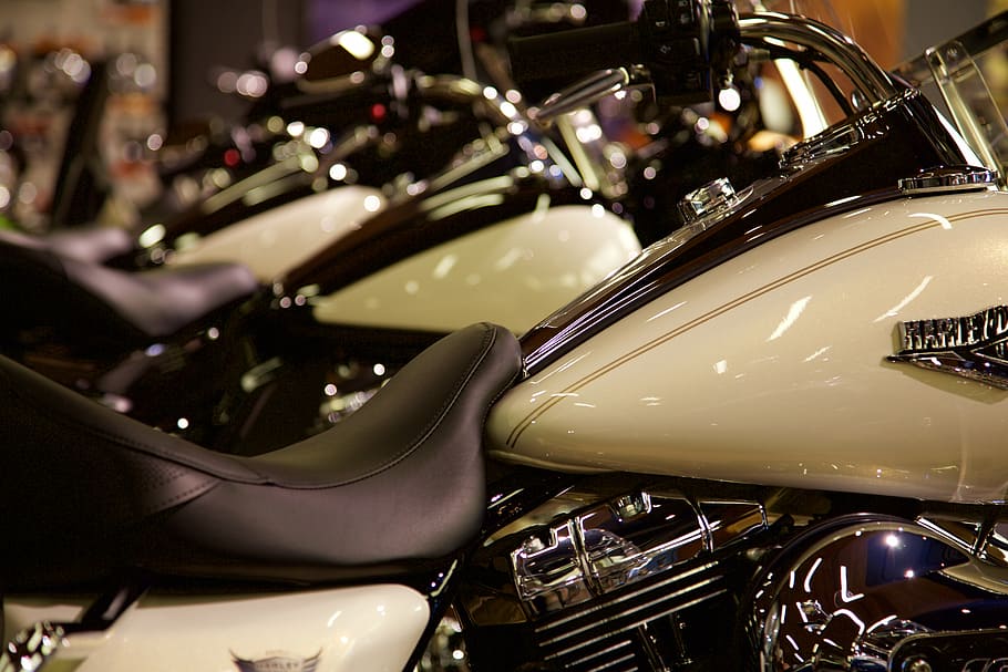 selective focus photography white Harley-Davidson cruiser motorcycle HD wallpaper