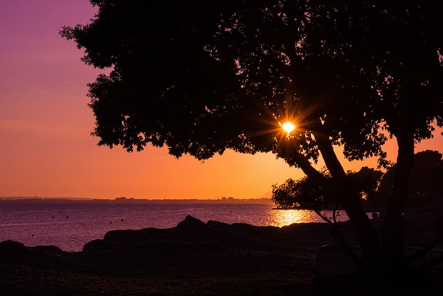 silhouette, sunset, sunbeam, trees, abendstimmung, sea, back light HD wallpaper