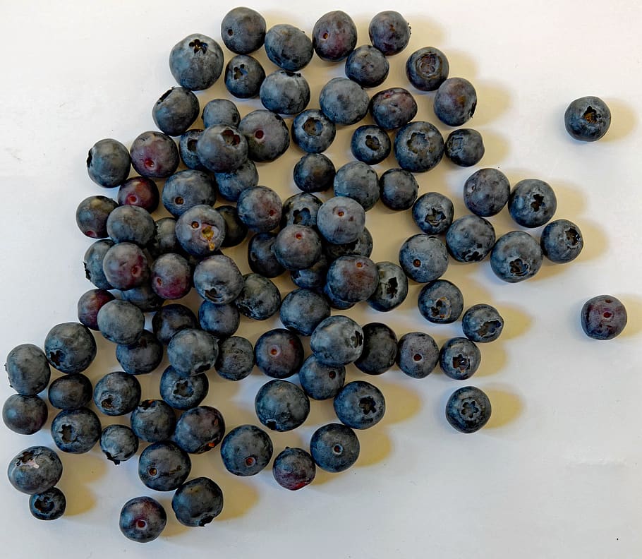 blueberry, indoors, large group of objects, high angle view HD wallpaper