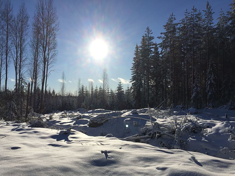 Sun, Snow, Winter, Landscape, winter landscape, snowy, snow landscape HD wallpaper
