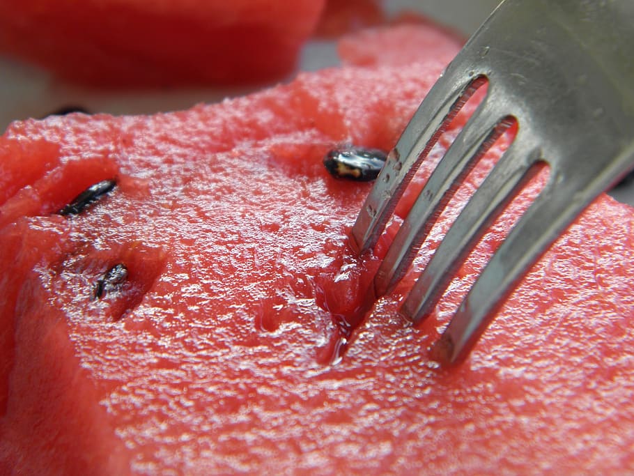 summer, watermelon, fork, red, close-up, metal, no people, selective focus HD wallpaper
