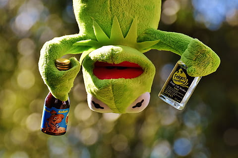 green Kermit the Frog plush toy, drink, hang out, alcohol, drunk HD wallpaper