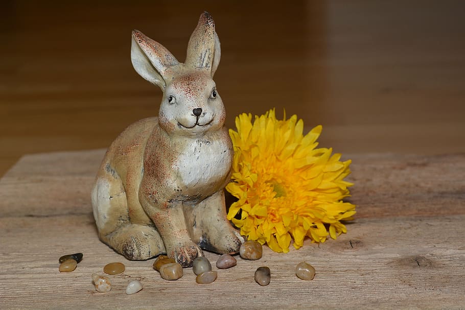 hare, dekohase, easter bunny, flower, blossom, bloom, dekoblume HD wallpaper