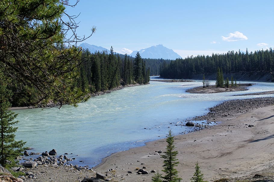 jasper provincial park, river, stream, alberta, canada, nature HD wallpaper