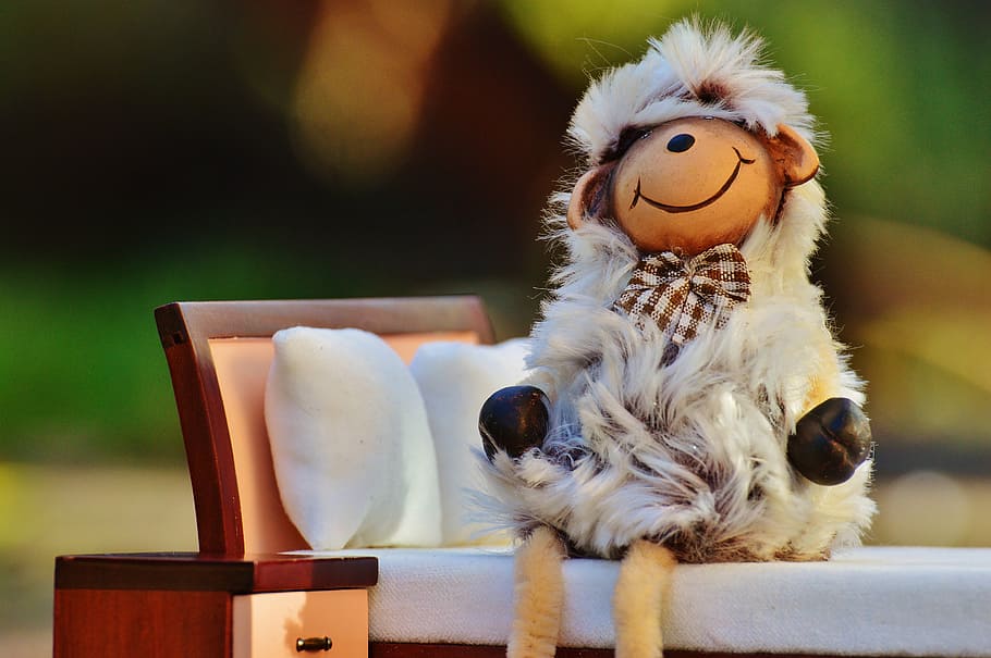 sheep, sitting, bed, fur, relaxed, figure, funny, sweet, cute HD wallpaper