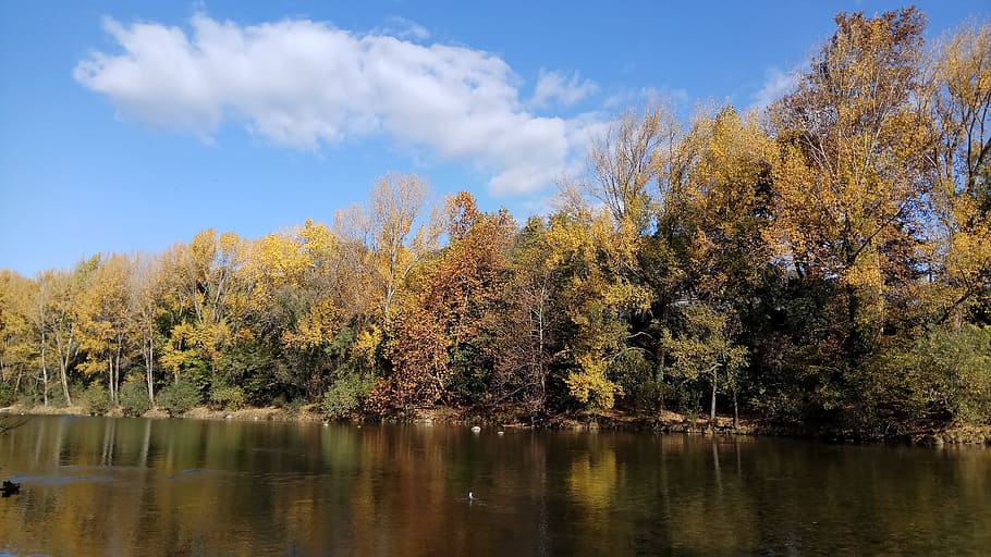 landscape, river, trees, autumn, plant, beauty in nature, water HD wallpaper