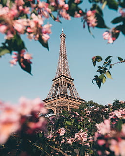 Eiffel Tower, Shallow Focus Photography of Eiffel tower Paris HD wallpaper