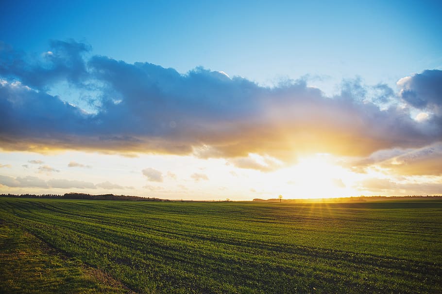 sunset, sky, clouds, field, green, grass, rural, farm, countryside HD wallpaper