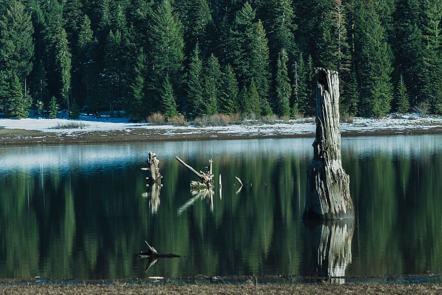 reflection, water, tranquil, surface, cool, clean water, calm HD wallpaper