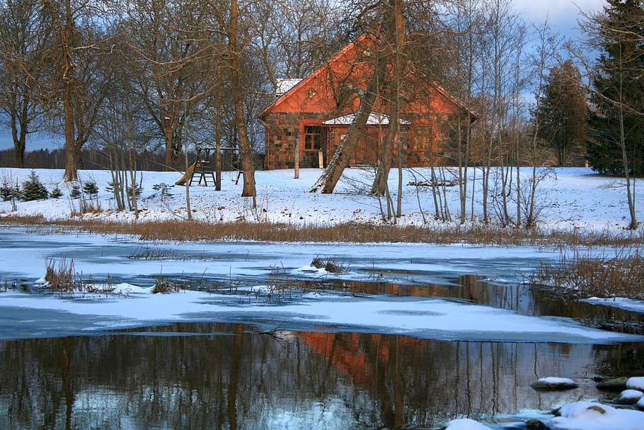 winter, snow, wood, coldly, nature, water, outdoors, ice, leann HD wallpaper