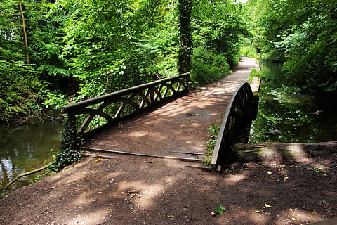 brown and black bridge near trees, pathway, outdoor, green HD wallpaper