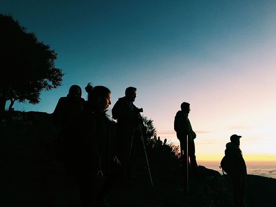 silhouette of group of people standing on hill, silhouette of five people under blue sky HD wallpaper