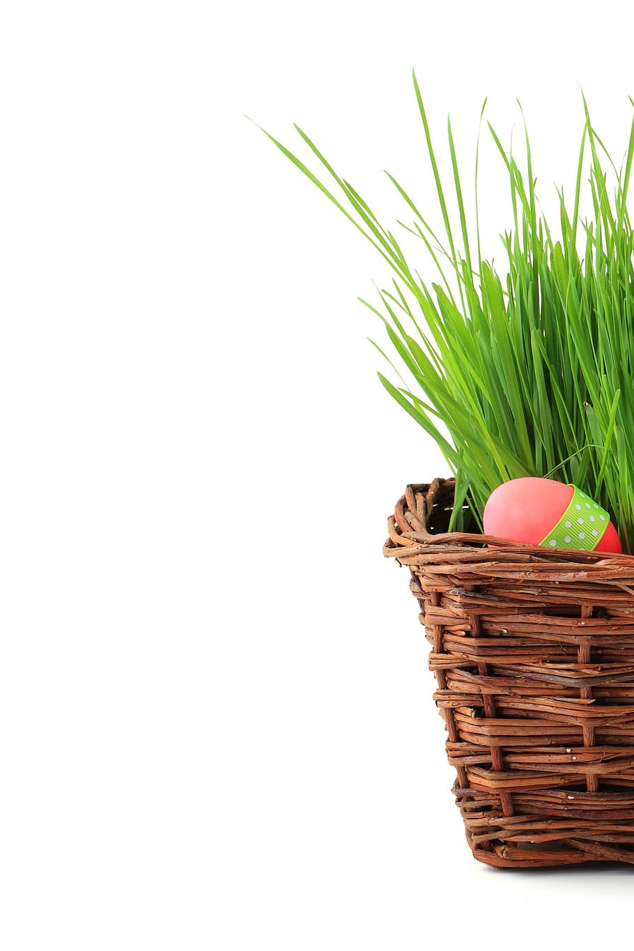 brown wicker basket with green plant, celebration, decoration HD wallpaper