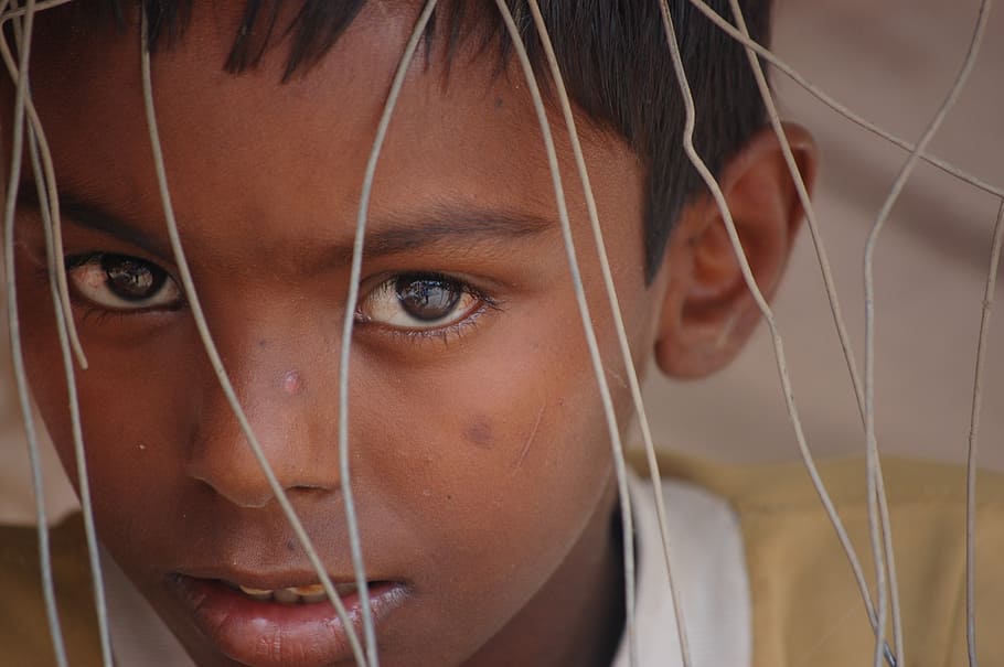 child, indian, grid, look, people, one Person, portrait, headshot HD wallpaper