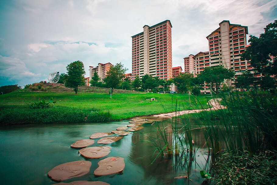 Bishan, Water, Pond, bishanpark, singapore, nature, lake, garden, HD wallpaper