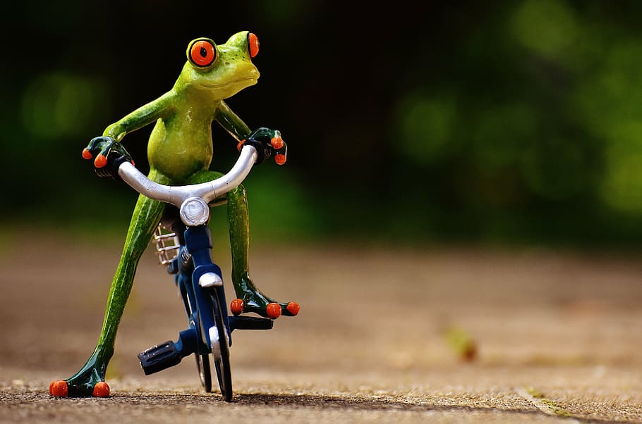 selective focus photography of tree frog riding bicycle outdoors