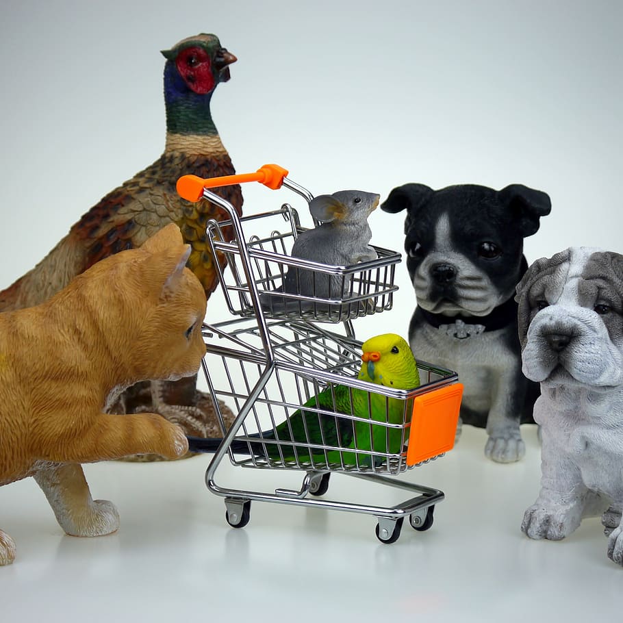 shopping, animals, business, shopping baskets, mammal, vertebrate, HD wallpaper