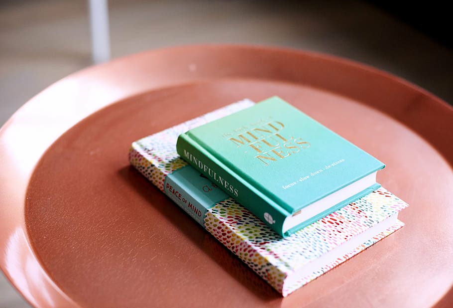 two teal books on brown tray, pages, sheet, diary, novel, table HD wallpaper